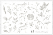 Woodland Sketches Vector Collection, an Animal Illustration by rouxsupplyco (Thumbnail 3 of 19)