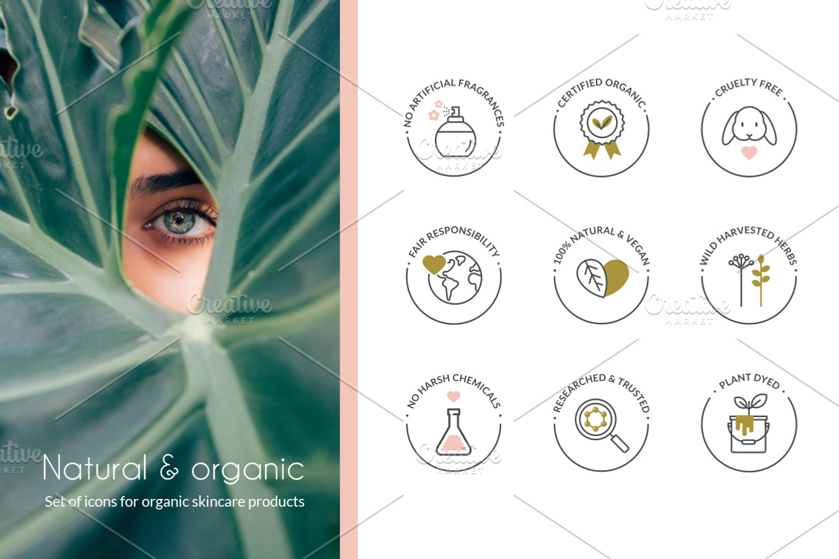Natural and organic products icons, an Outline Icon by Designifty (Photo 1 of 2)