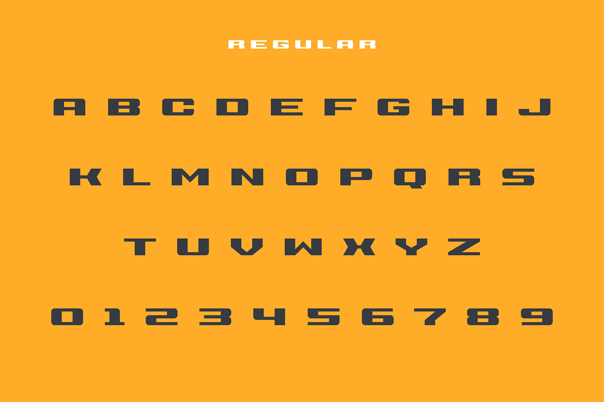 Viper, a Serif Font by Studio One Four (Photo 2 of 7)