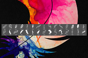 Feather Photoshop Stamp Brushes, a Brush Add-On by ArtistMef (Thumbnail 3 of 4)