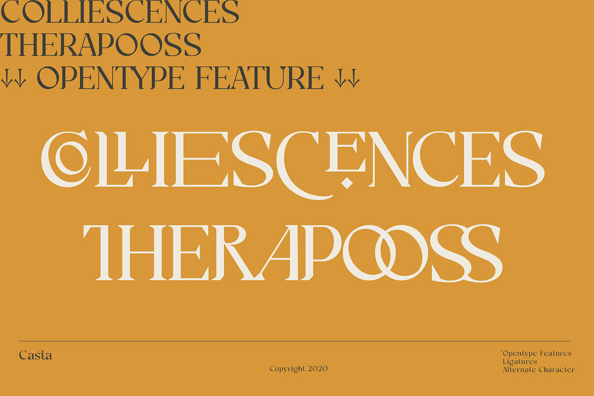 Casta – Display Sans Serif Font, a Sans Serif Font by Dirtyline Studio (Photo 3 of 23)