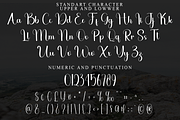 Grateful, a Handwritten Font by FreshTypeINK (Thumbnail 4 of 8)