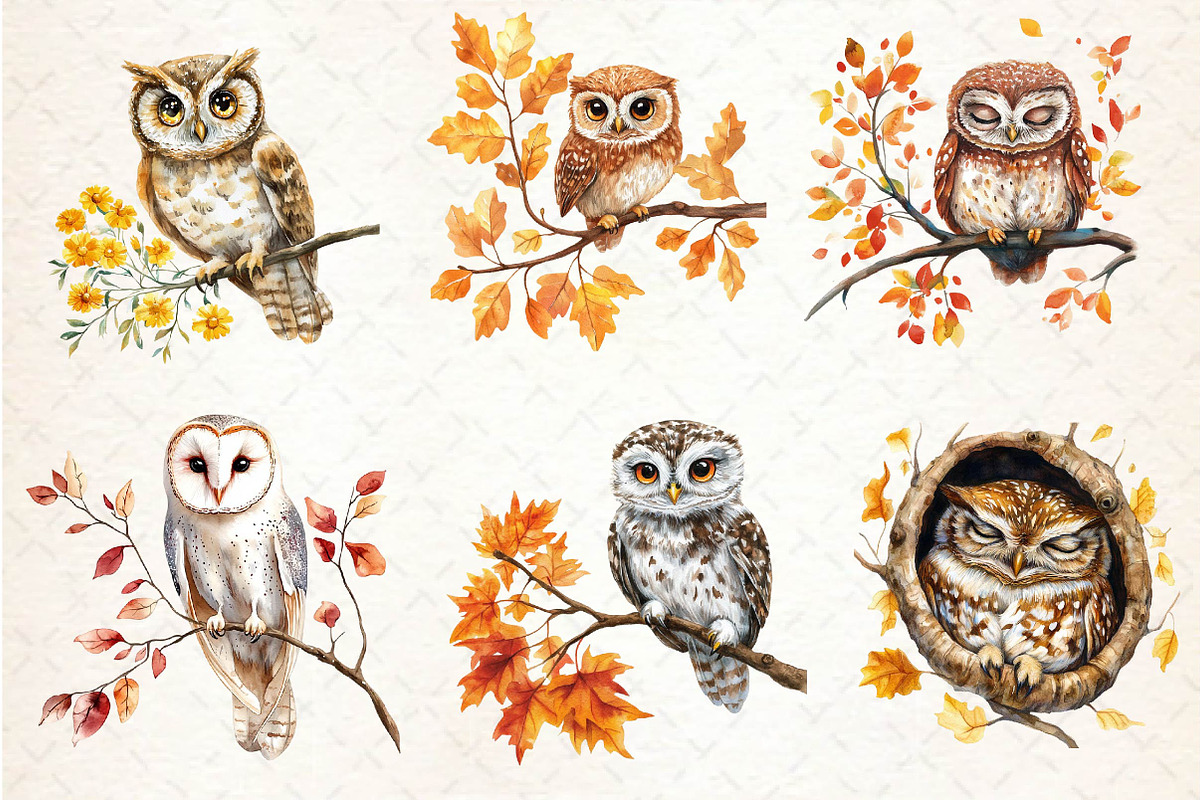 Autumn Owl Clipart Sublimation, an Illustration by Dream Creation (Photo 4 of 6)
