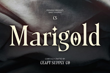 CS Marigold – Classic Font