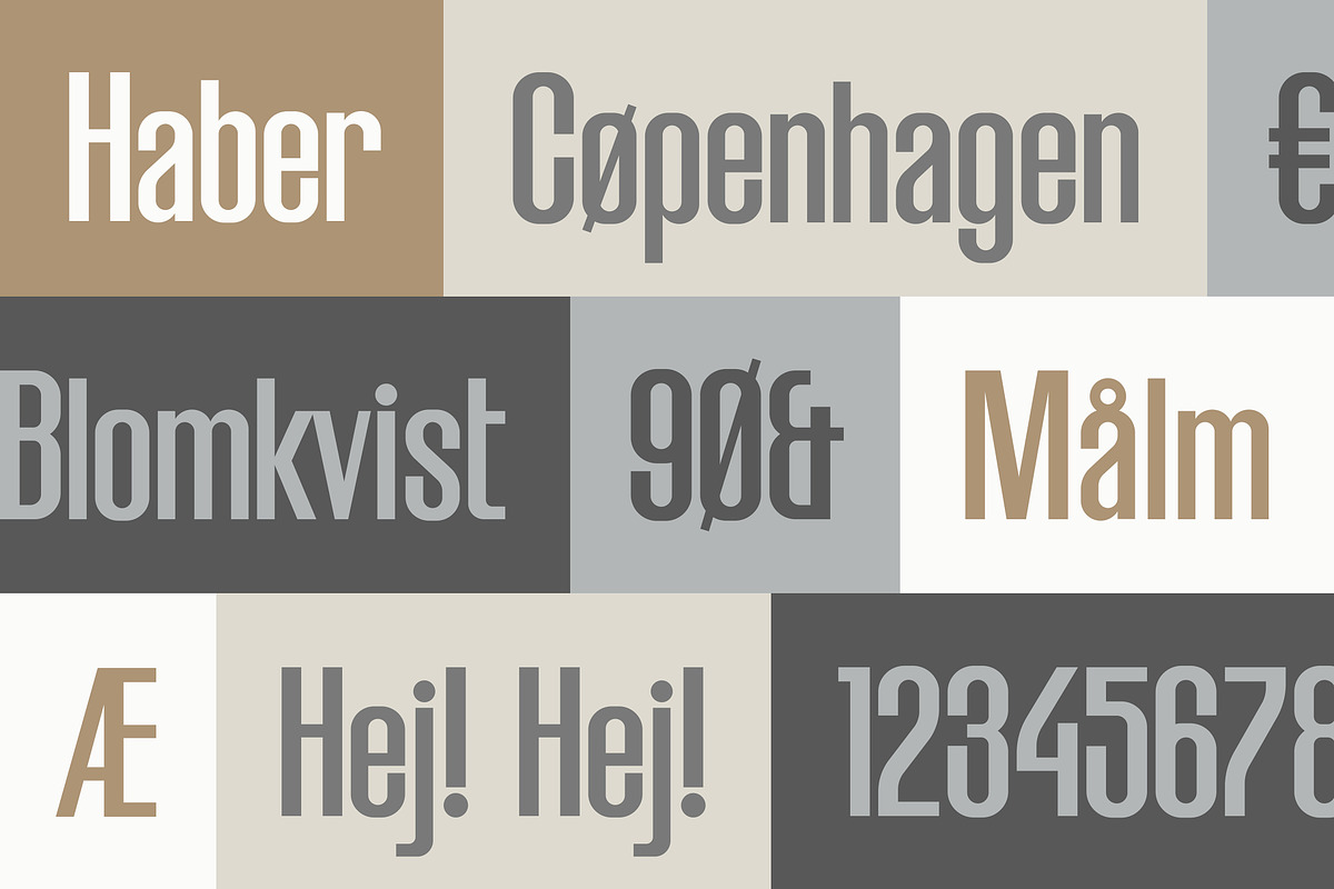 HABER Font, a Sans Serif Font by ILITY© Fonts (Photo 1 of 6)
