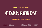 Cranberry Playful Handmade Typeface, a Script Font by alpercakici (Thumbnail 14 of 14)