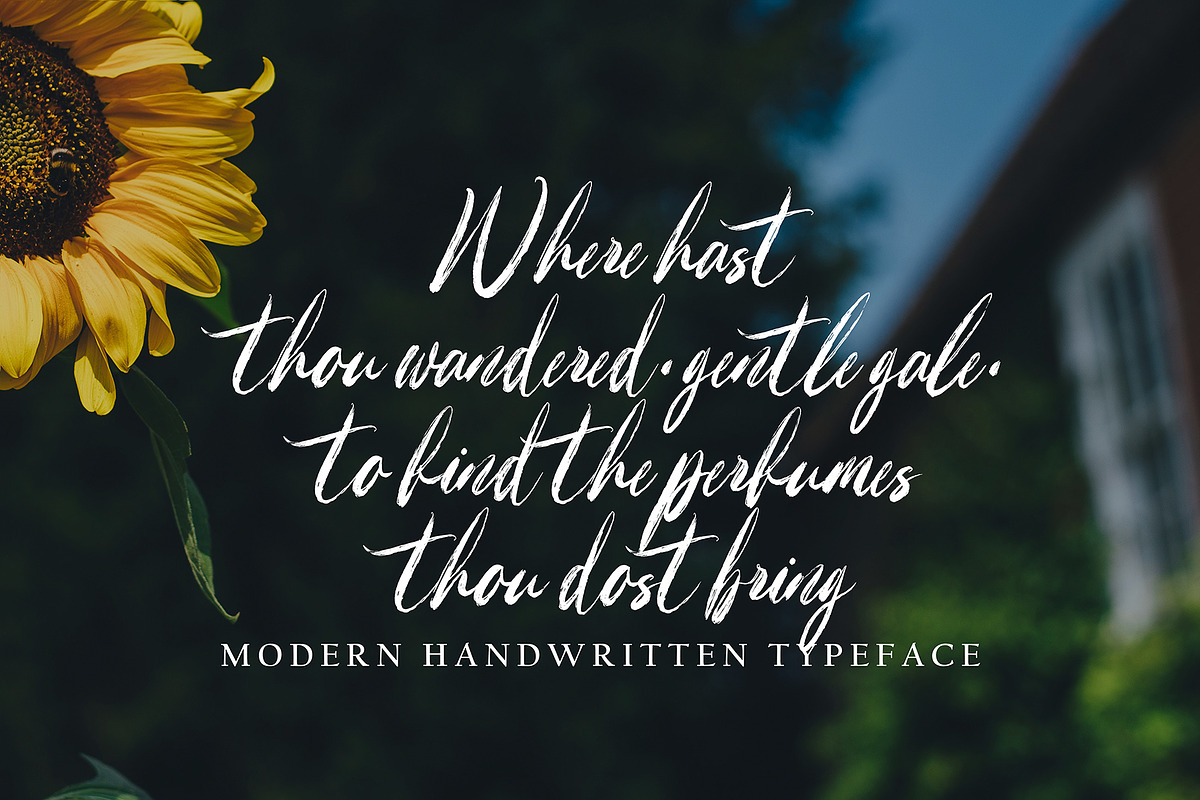 Fareinheit, a Handwritten Font by pineungtype (Photo 6 of 6)
