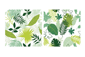 Tropical Leaves