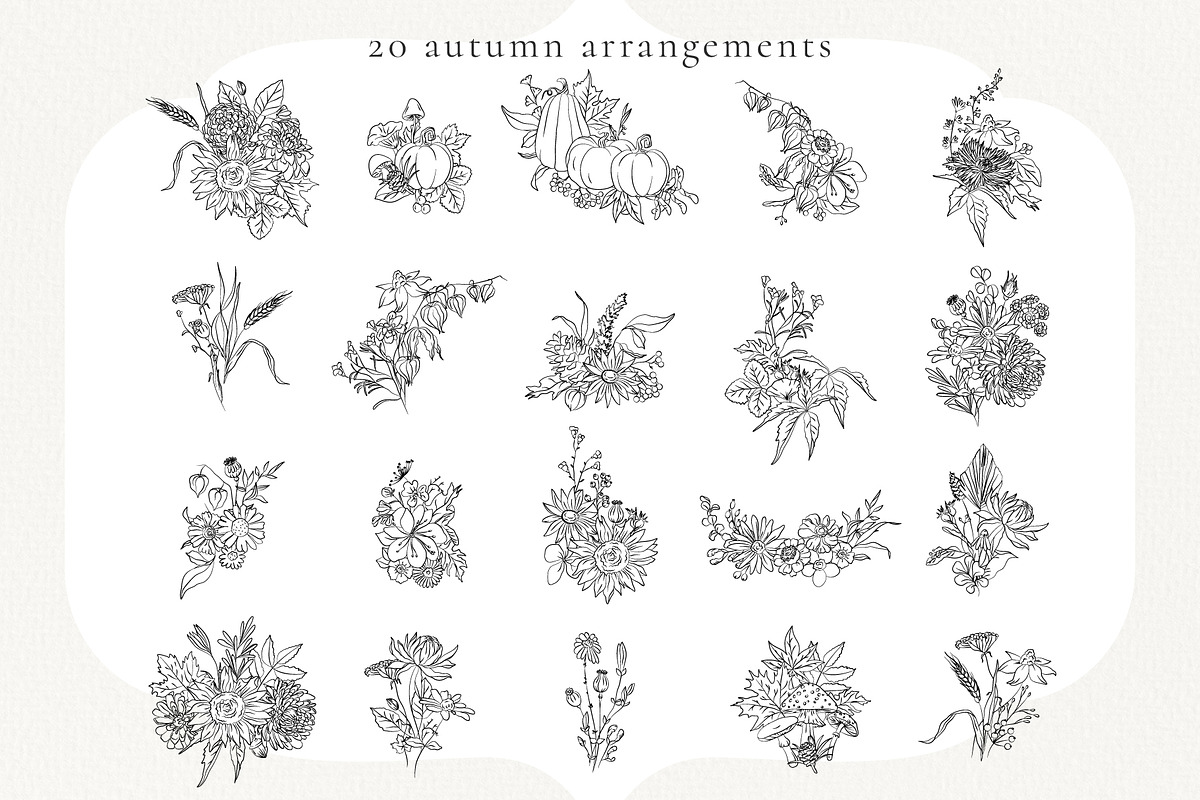 Autumn Botanicals Line Art Clipart, a Decorative Illustration by La Petite Line Art (Photo 6 of 14)