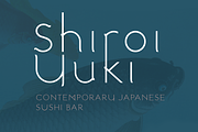 Nishi. Chic, modern sans serif font, a Sans Serif Font by LostandFoundry (Thumbnail 6 of 7)