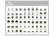 60 Assorted Plants Photo Overlays, a Nature Photo by KenScape (Thumbnail 3 of 3)