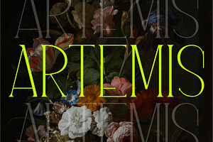 Artemis - An Elegant Serif