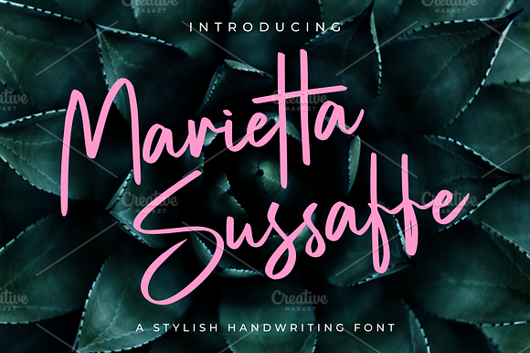 Marietta Sussaffe preview 6