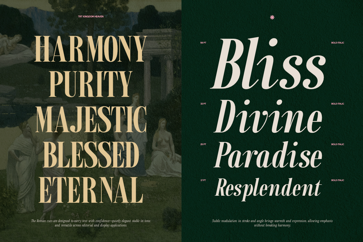 TRT Kingdom Heaven Serif Family, a Serif Font by truetype (Photo 4 of 15)
