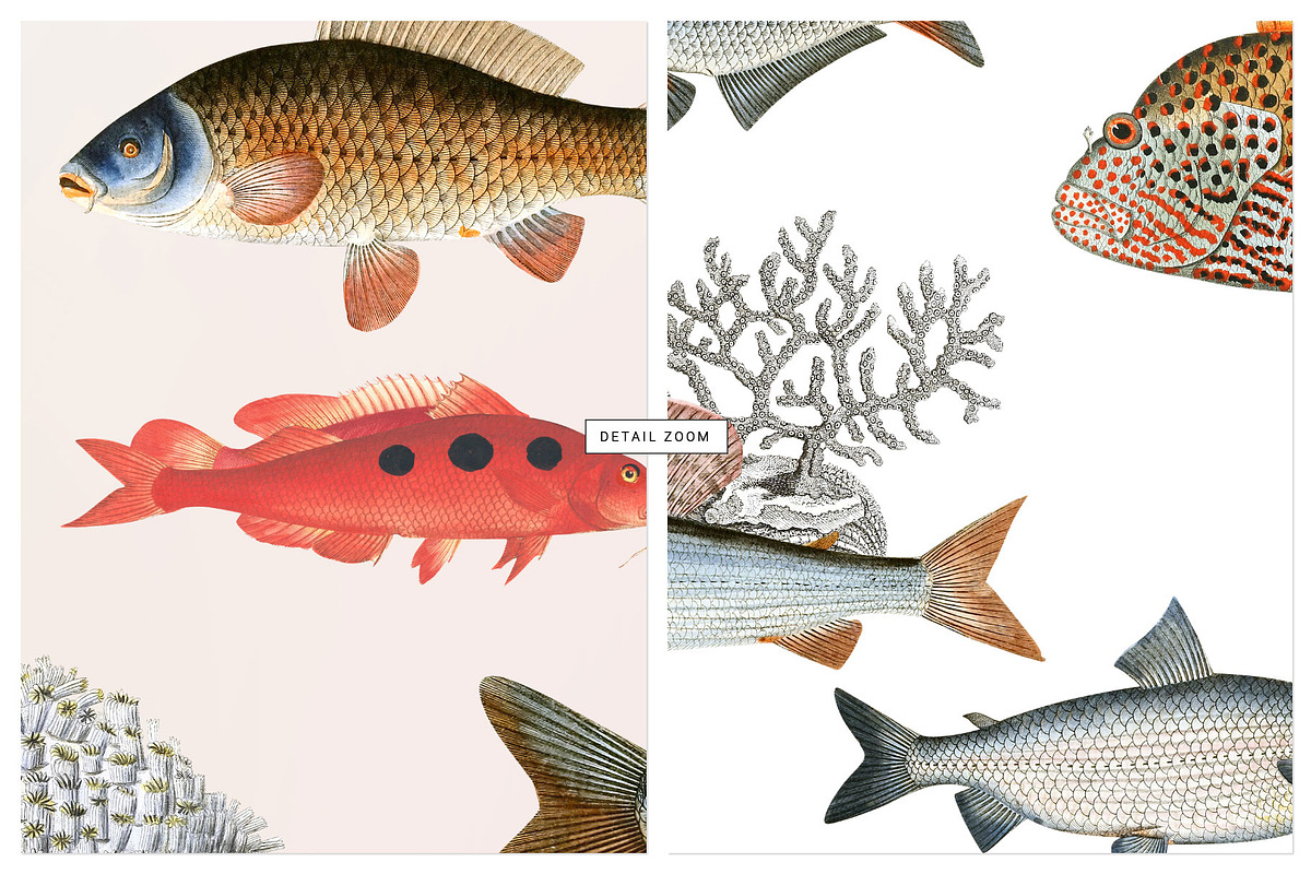 Fish seamless repeat Pattern designs!