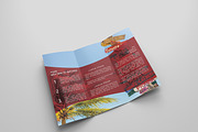 6 Travel Tri Fold Bochures, a Brochure Template by Creatricks (Thumbnail 6 of 13)