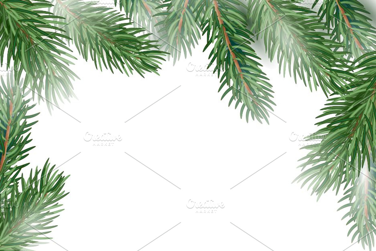 Fir tree branches vector set, a Decorative Illustration by MalinaShop (Photo 5 of 5)