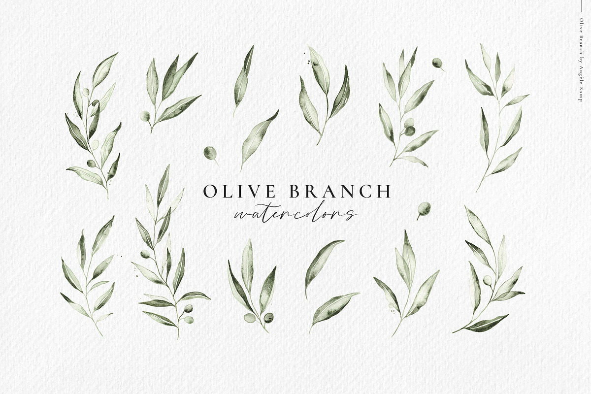 Olive branch watercolor illustration, an Illustration by Angele Kamp (Photo 9 of 13)
