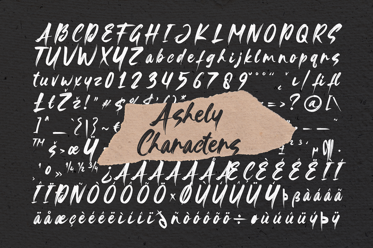 Ashely, a Handwritten Font by Gatype (Photo 10 of 11)