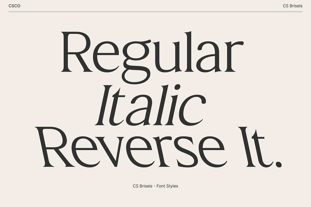 CS Briseis – Luxury Serif Font, a Serif Font by Craft Supply Co. (Photo 2 of 8)