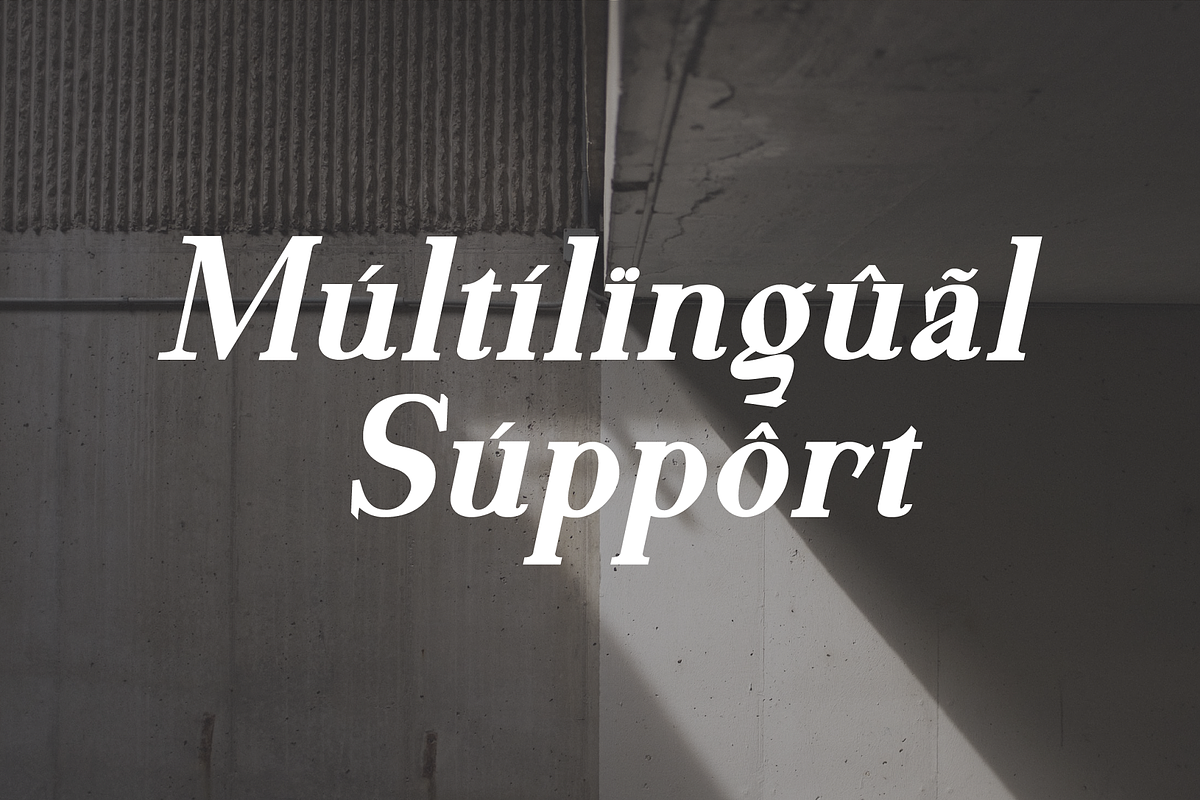 Motzeda - Display Serif, a Serif Font by Randi Irvan | Rvandtype (Photo 10 of 12)