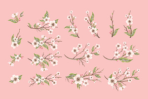 Apple Blossom Seamless Pattern