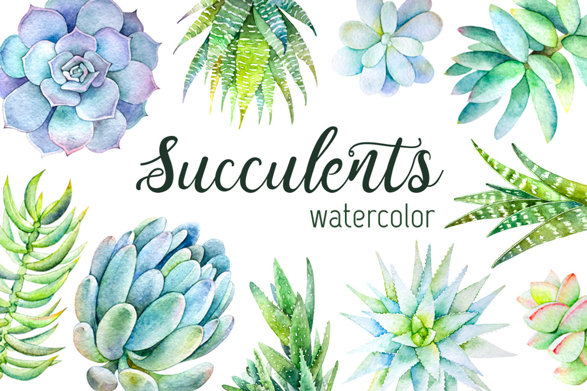 Succulents watercolor set, an Illustration by Green_leaf_17 (Photo 1 of 4)