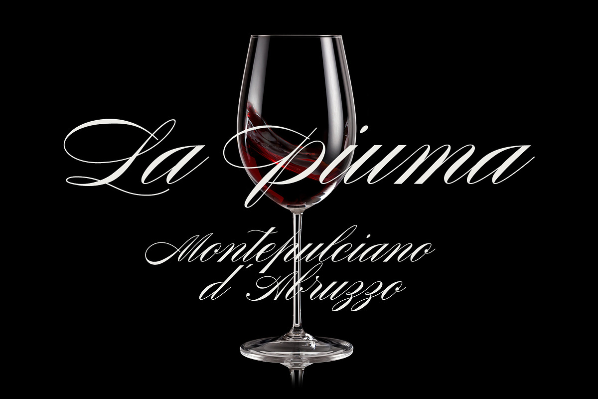 Graziosa Script Font, a Script Font by Corina Moscu (Photo 10 of 10)