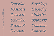 Promag Font Duo (Family), a Sans Serif Font by xdCreative (Thumbnail 7 of 15)