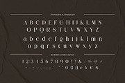 Galviane – Artistic Modern Serif, a Serif Font by BrandSemut (Thumbnail 2 of 10)