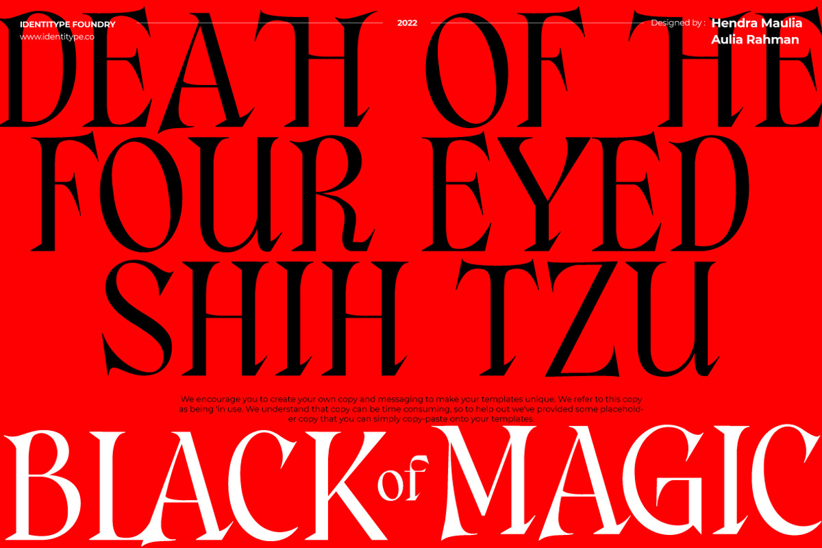 Consta - Premium Serif Font, a Serif Font by Identy Studio (Photo 14 of 18)