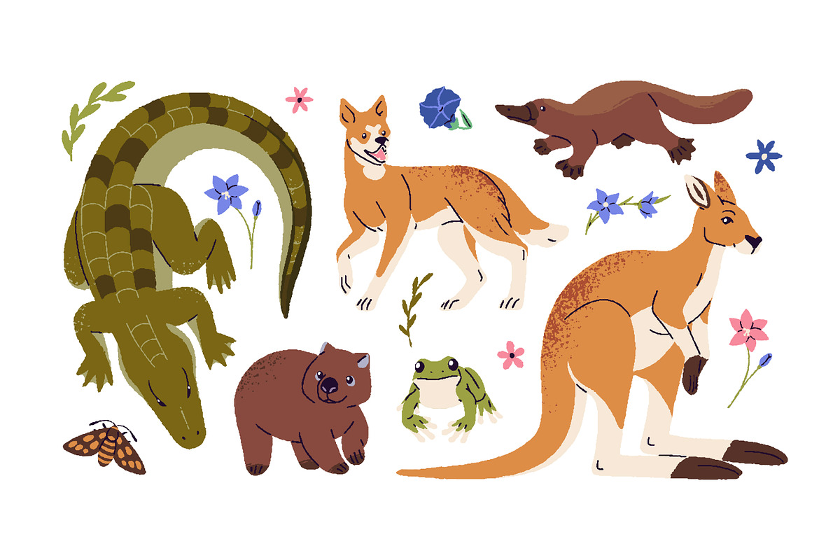Australian animals and plants set, an Animal Illustration by PaperTrident (Photo 2 of 4)