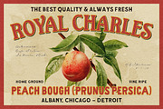 IC Shelby Meadows - Display Serif, a Serif Font by IronbirdCreative (Thumbnail 2 of 10)