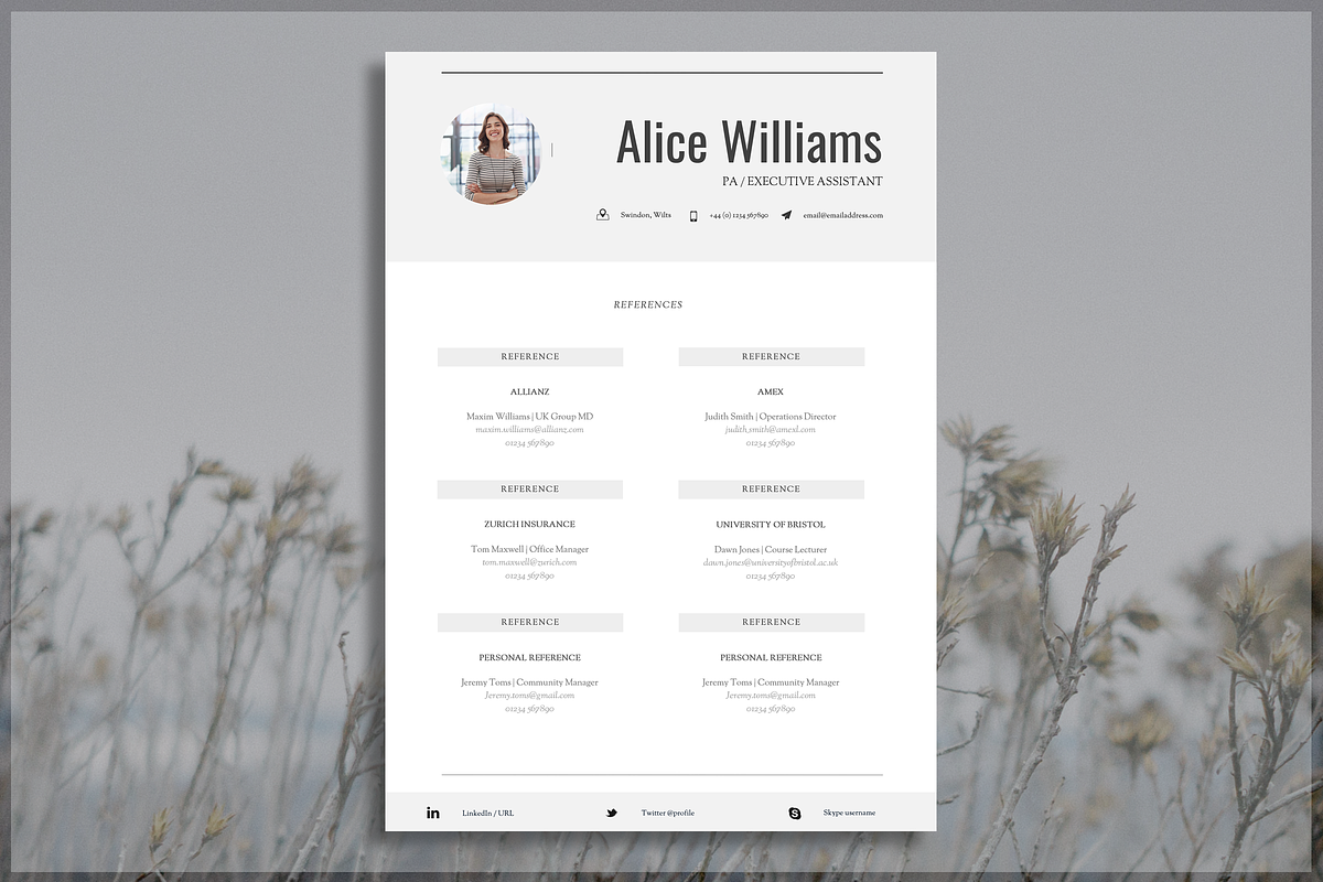 Professional Resume Template, a Resume Template by introDuice - CV / Resumes (Photo 6 of 7)