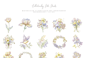Vintage Floral Songbirds Clipart Set, a Decorative Illustration by Pati Paints (Thumbnail 2 of 11)