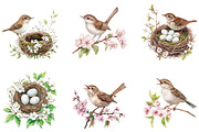 Birds and dunnock Clipart, a Seasonal Illustration by Designking (Thumbnail 3 of 5)
