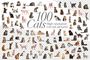 100 Cats Bundle - Cut-out Pictures