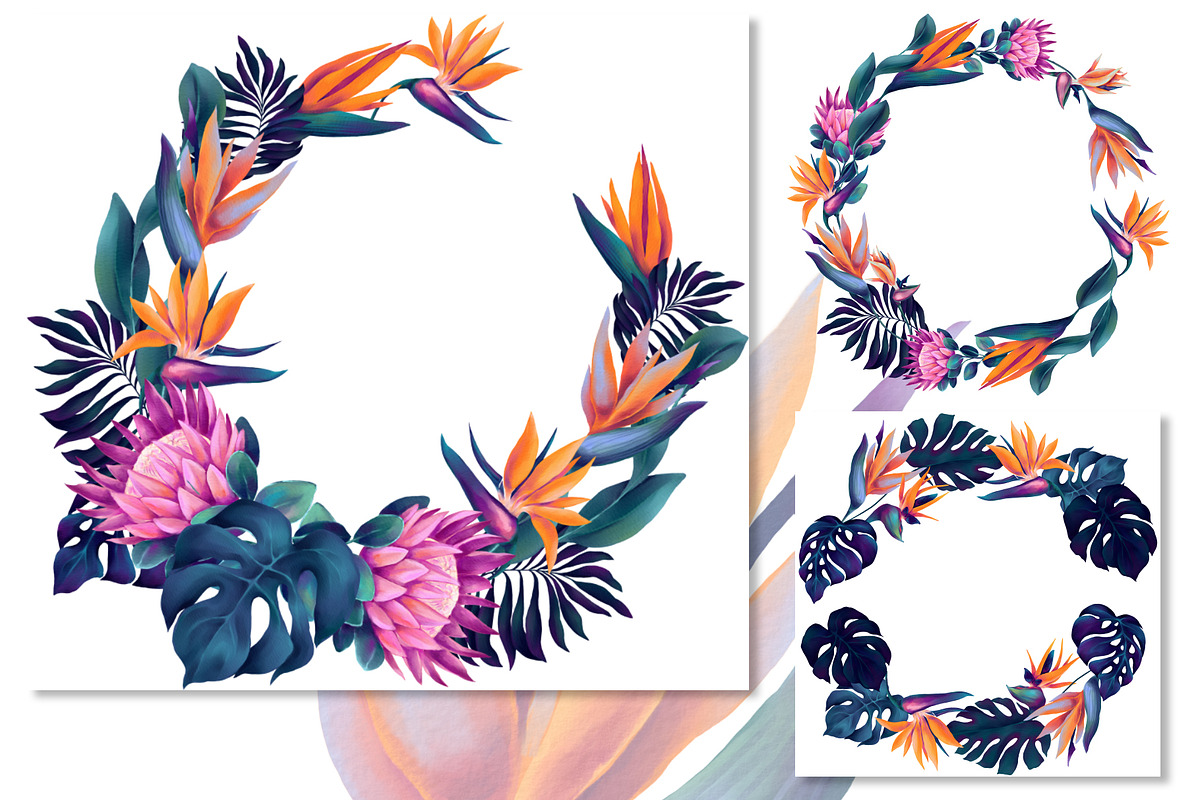 Monstera and Strelitzia watercolor, an Illustration by Salted Galaxy (Photo 3 of 15)