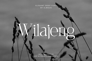 Wilajeng - Classy Elegant Serif Font