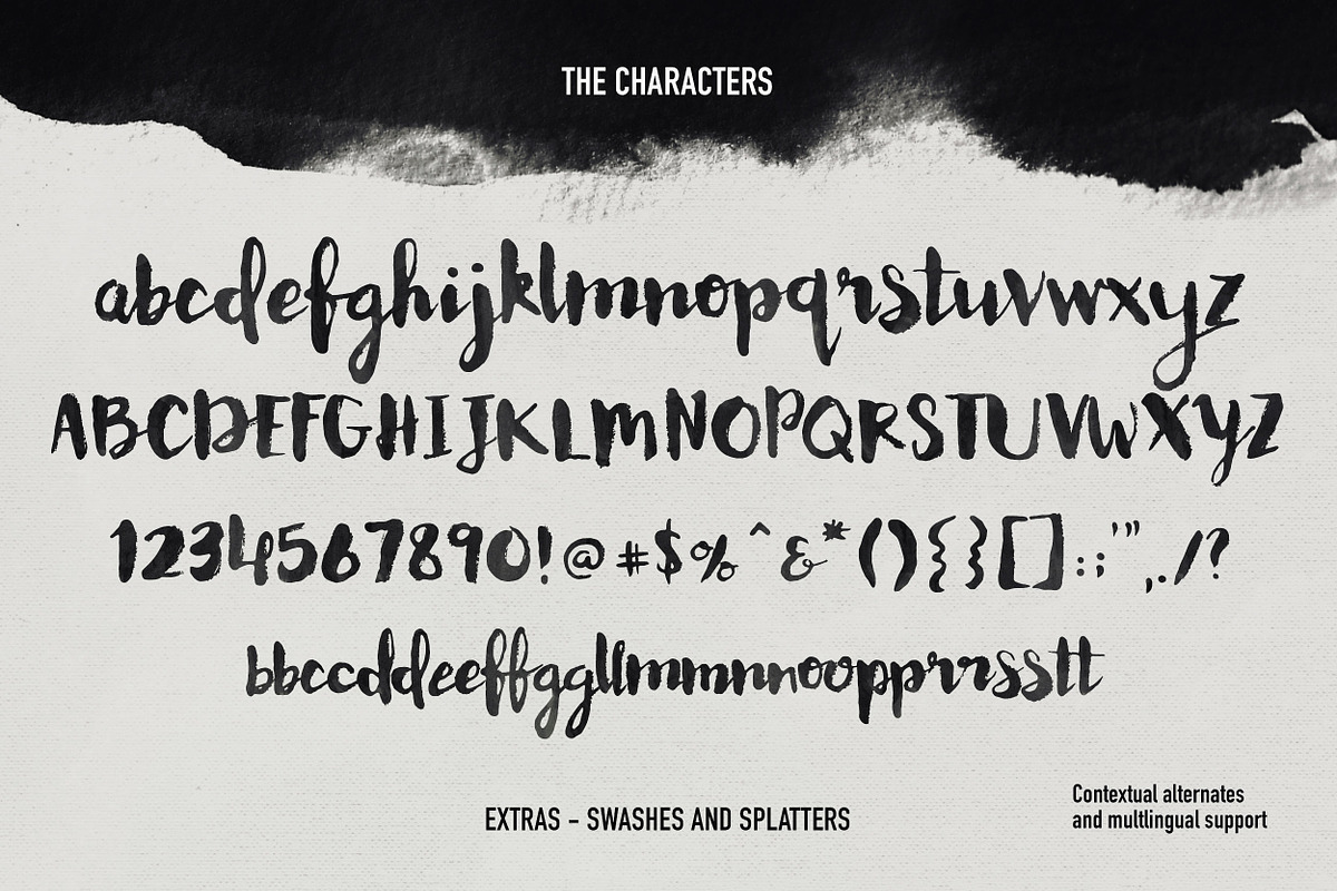 Memoire Brush Script + Extras preview 7
