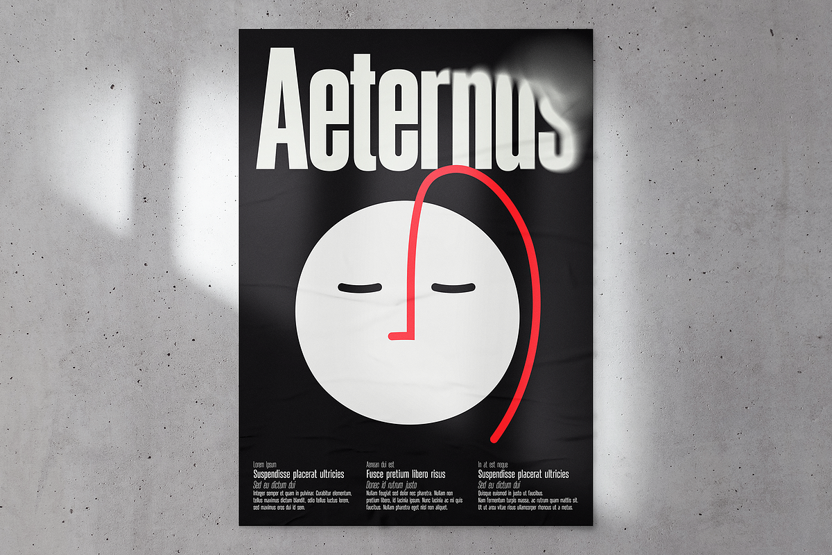 Aeternus Variable, a Sans Serif Font by Unio Designs (Photo 5 of 12)