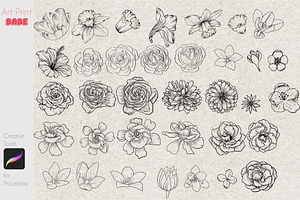 Procreate Line Art Flower Stamps