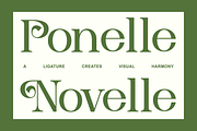 Navore Modern Elegant Display Font, a Serif Font by Rasio Studio (Thumbnail 5 of 9)