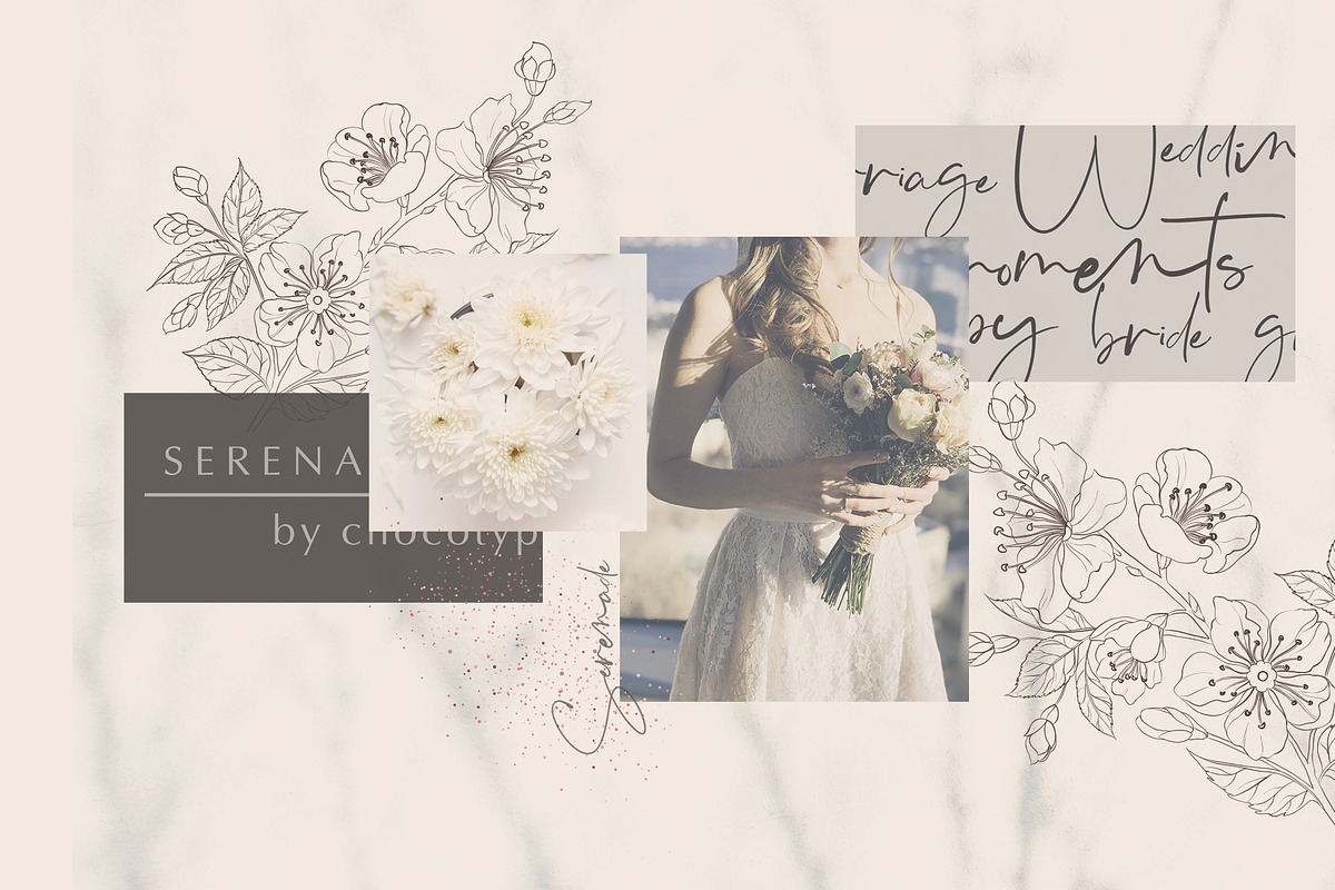 Serenade Script, a Script Font by Chocotype Std (Photo 3 of 7)