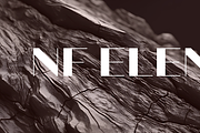 NF Elena Font, a Sans Serif Font by NicolassFonts (Thumbnail 1 of 5)