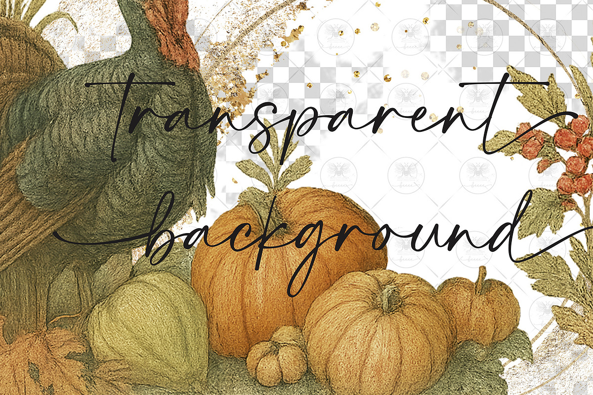 Thanksgiving Turkey Pumpkin Clipart, an Illustration by BigCakeBee (Photo 2 of 4)