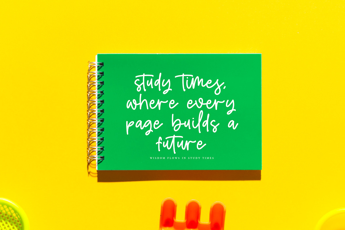 Joybright, a Script Font by operatype.co (Photo 9 of 14)