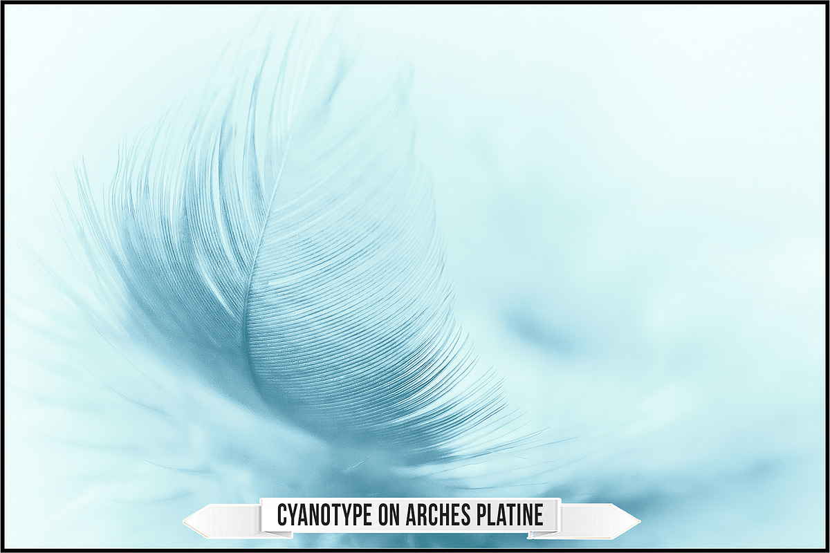 Authentic Cyanotype LUTs, a Plug-in Add-On by Raztrend (Photo 21 of 32)