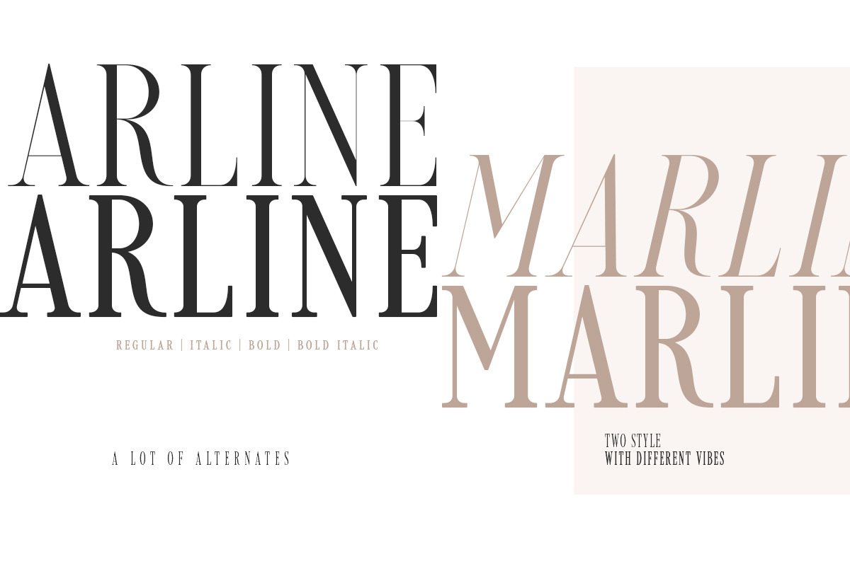 Loverica - Modern Condensed Serif preview 3