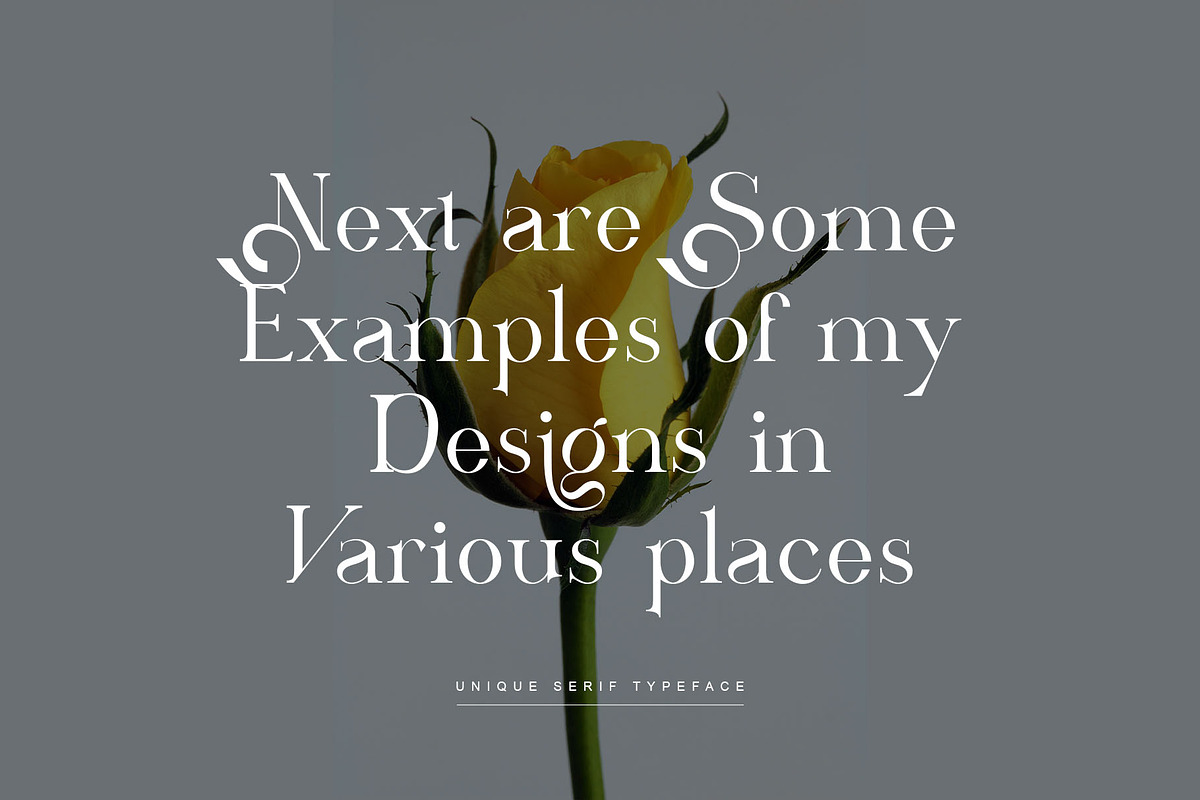ARISEV Unique Serif Typeface, a Serif Font by yaqublekker (Photo 2 of 10)